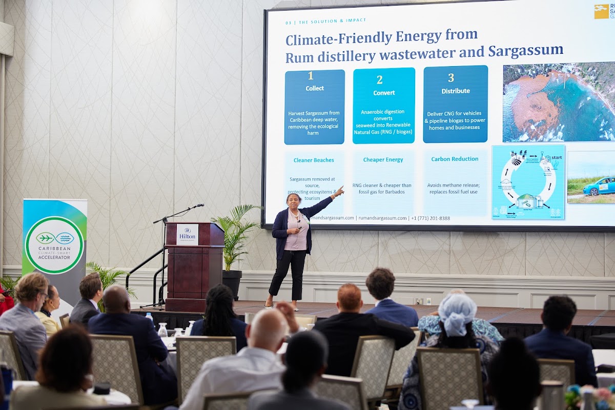 Circular Bioenergy: Rum & Sargassum