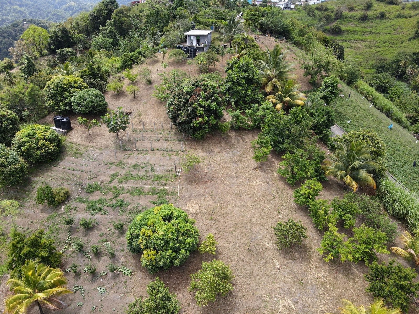 Lampkin's Natural Farm